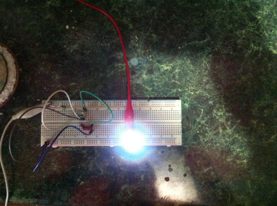 Click image for larger version
Name: earthlightcircuit.jpg
Views: 1
Size: 96.9 KB
ID: 46266