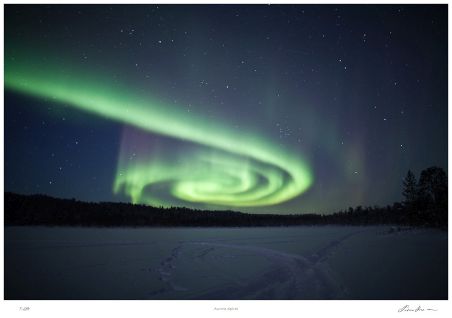 Click image for larger version
Name: imageMain_1_8.jpg
Views: 1
Size: 32.2 KB
ID: 46550